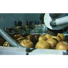 Automatic High Speed Fruit Labeling Machine