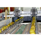 Automatic High Speed Fruit Labeling Machine